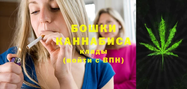 бошки Абаза