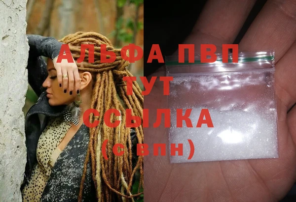СК Семилуки