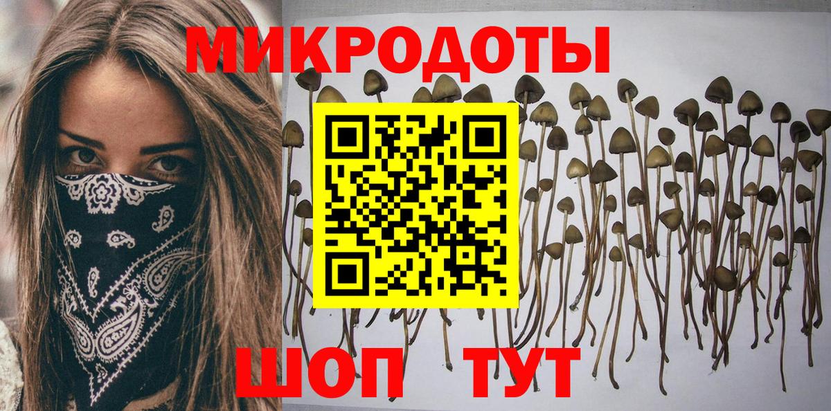 Череповец  Галлюциногенные грибы Psilocybine cubensis  где продают   Вход с VPN 